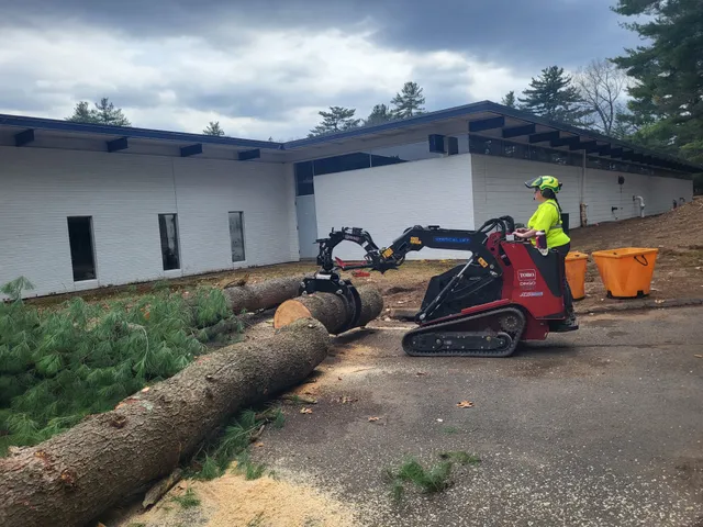 LaPila Arborists and Design work photo