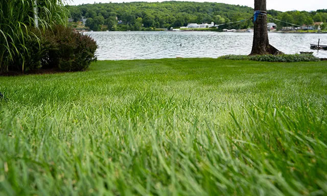 work photo from premiertopdressing.com