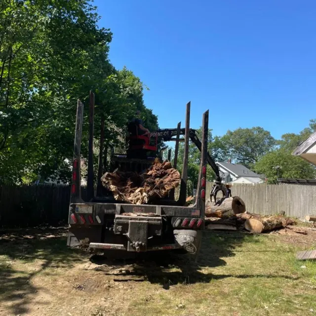 work photo from adams-tree.com