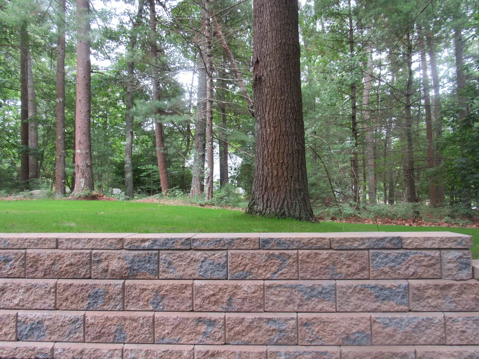 work photo from mentolandscape.com
