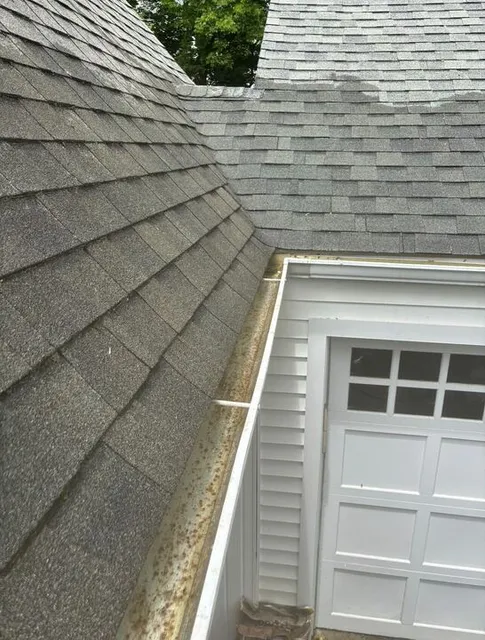 Gutter maintenance service