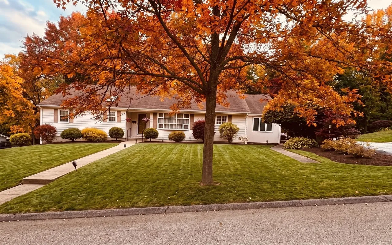 Fall Leaf Cleanup — after