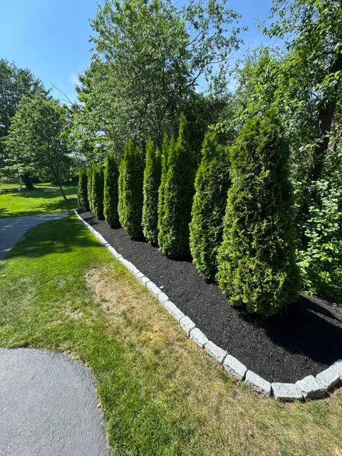 Fresh Mulch Installation