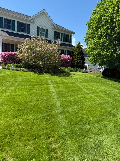 Soler Family Property Maintenance work photo