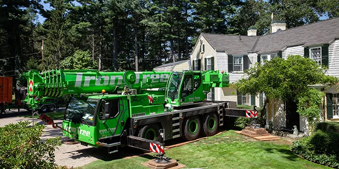 Iron Tree Service