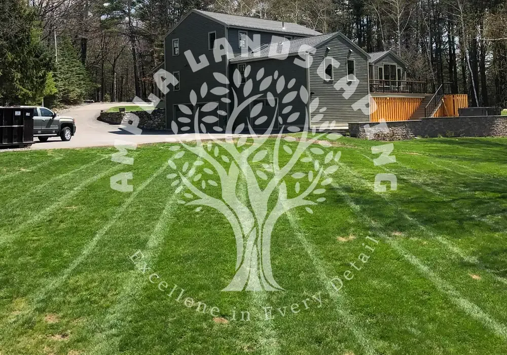 Beautiful landscaping services and lawn care