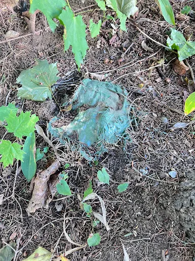 Review photo by Lori Walker