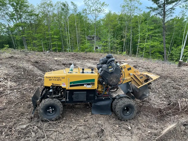 Trunks to Stumps, LLC work photo