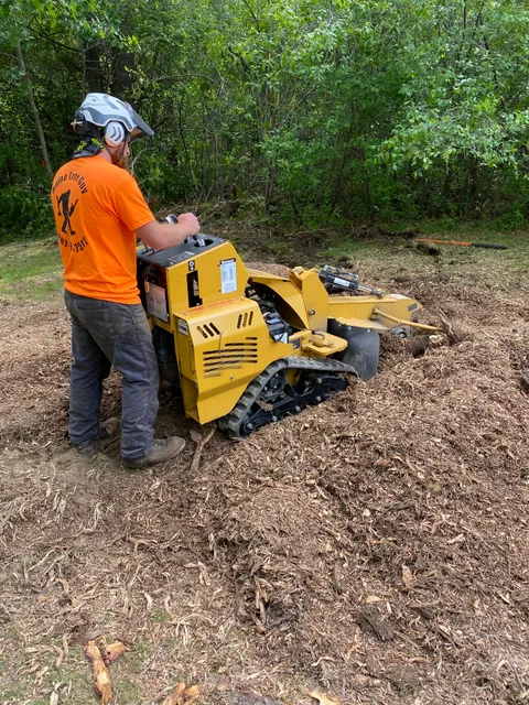 Maine Tree Guy work photo