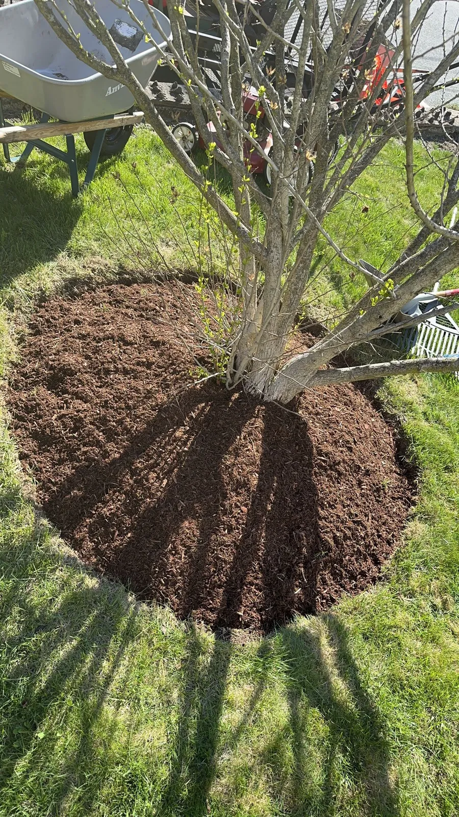 Bluepeak Landscaping