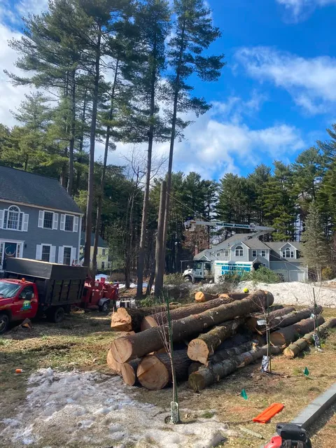 Adan Landscaping & Tree Services Inc