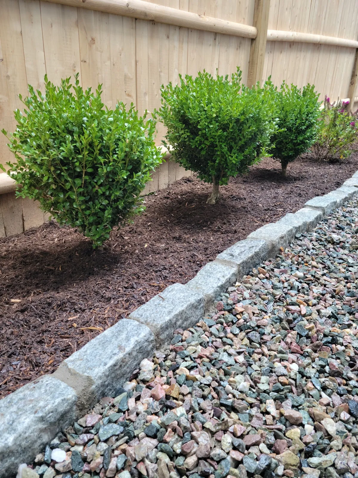 Ideal Lawn Care