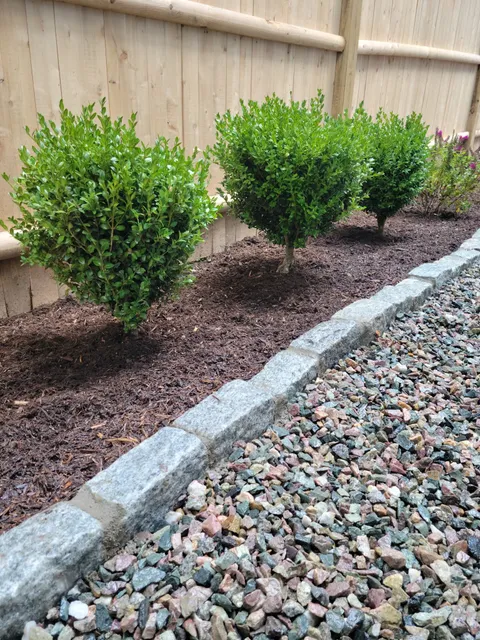 Ideal Lawn Care