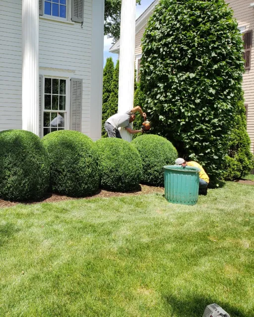 work photo from silverhilllandscaping.com