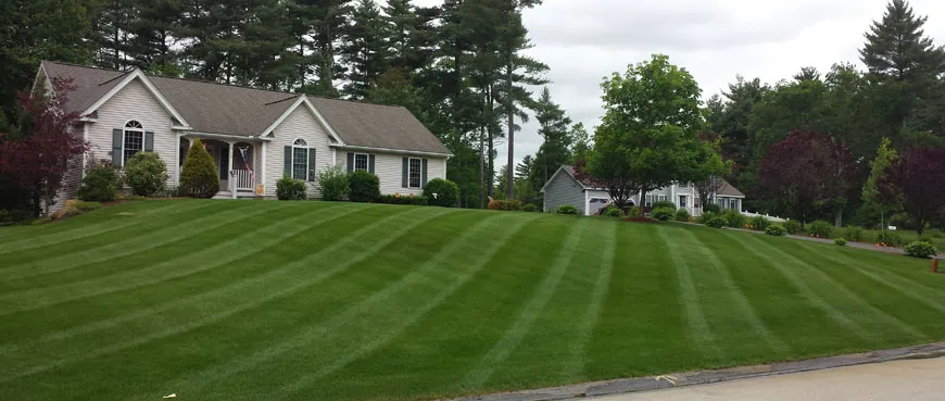 work photo from supremelandscaping.net