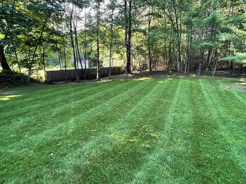 Landscaping Banner