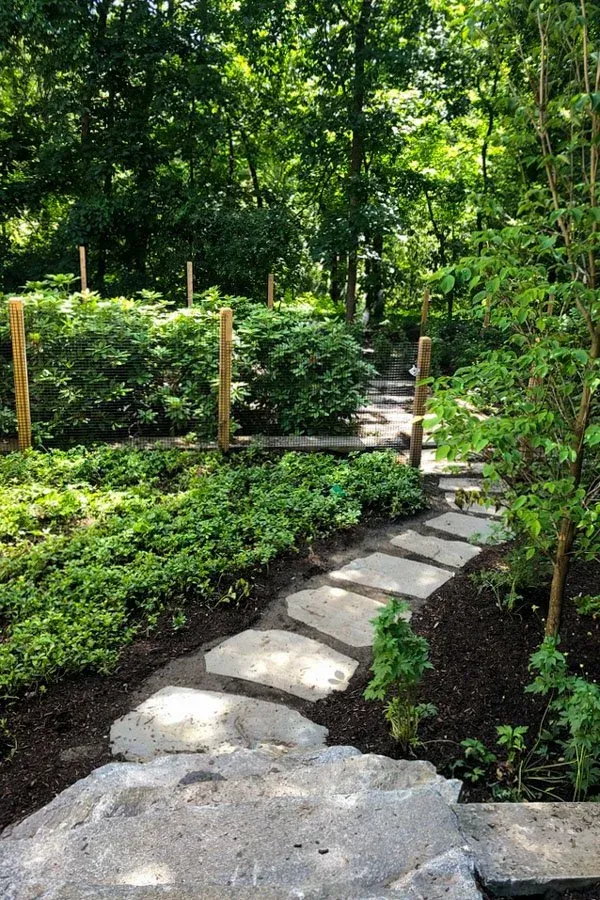Irregular stone steppers connect stone steps in slope to agricultural fence and gate