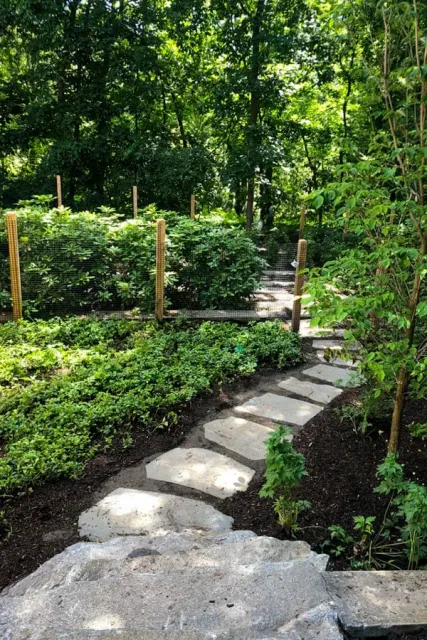 Irregular stone steppers connect stone steps in slope to agricultural fence and gate