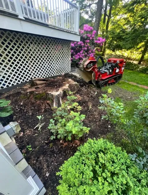 work photo from gaticalandscaping.com