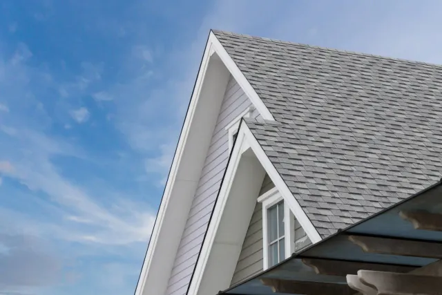 Roof Shingles