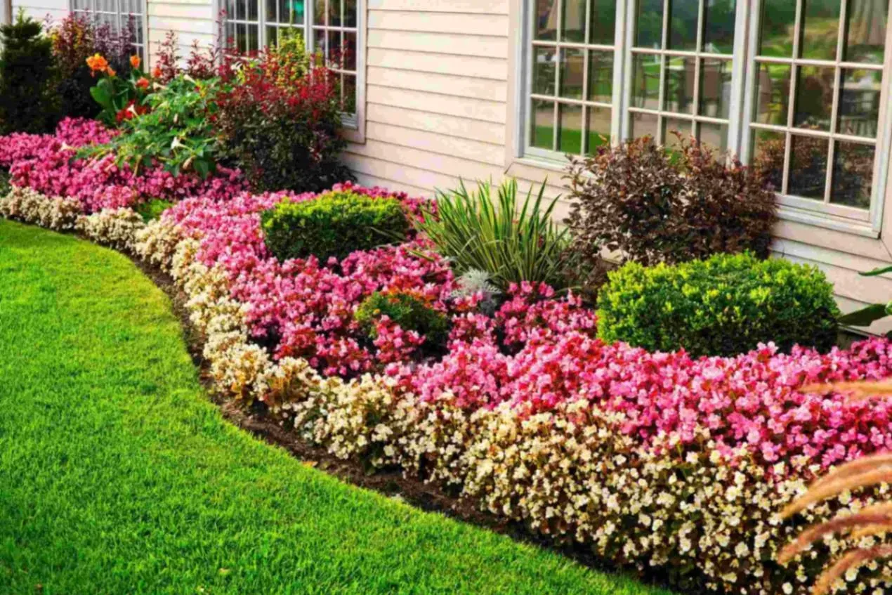 Wicked Clean Landscape Corp