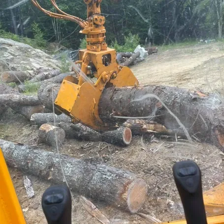 J. Bonin Tree Services, LLC work photo