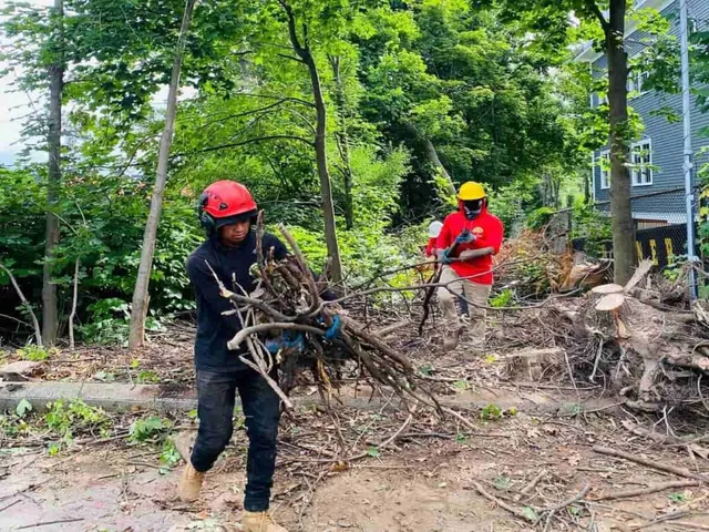 All Season Tree Services & Landscaping researched project photo