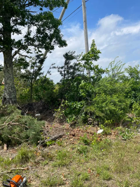 Tj & Sons Landscaping researched project photo