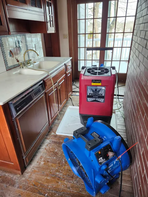 Octagon Cleaning & Restoration work photo