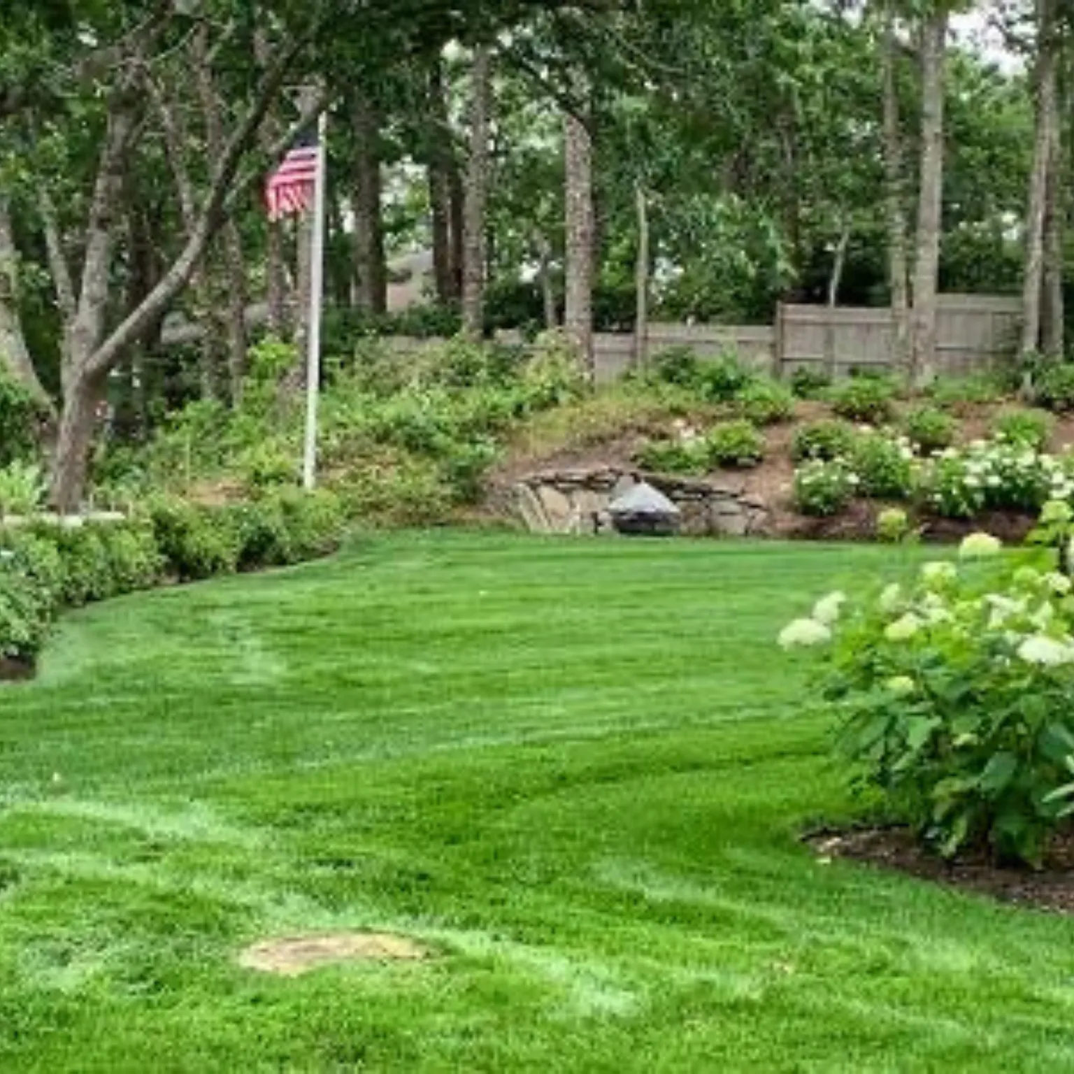 work photo from gentlenaturelandscaping.com