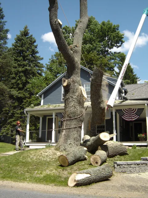 work photo from topnotchtreework.com