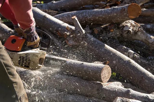 work photo from landscaping-js.com