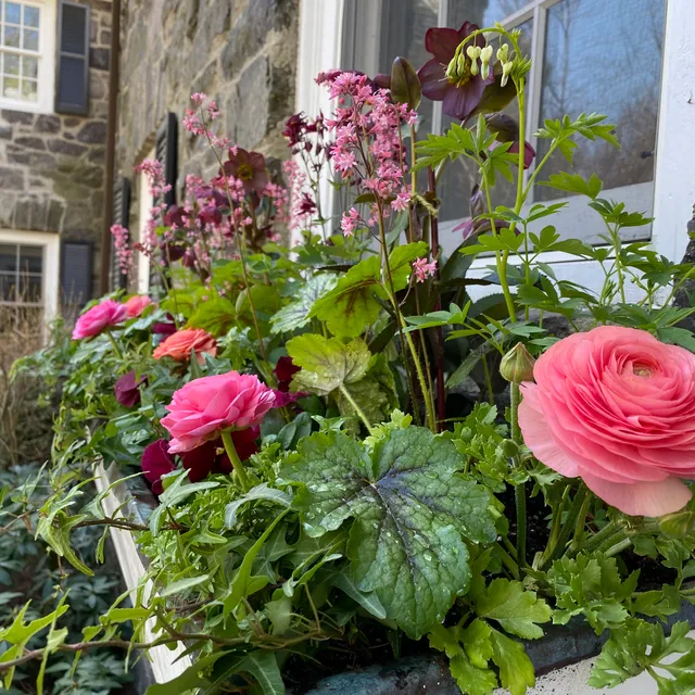 Moon Garden Designs work photo