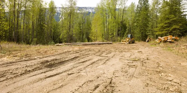 work photo from mainescapesllc.com