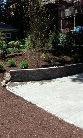 Landscaped garden with a curved stone border, small trees, shrubs, and a paved patio area