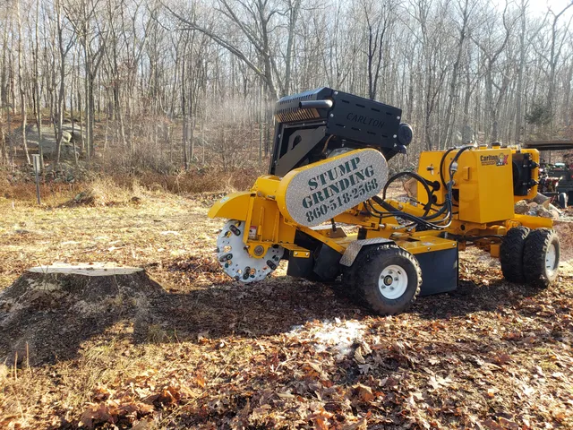 Valley & Shore Stump Grinding work photo