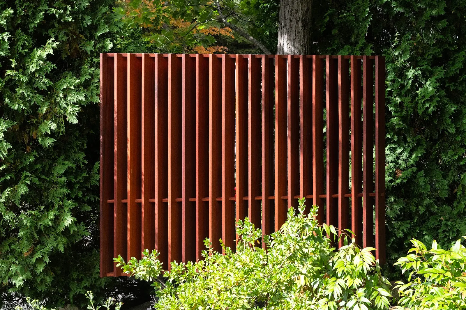Gold Beech Construction