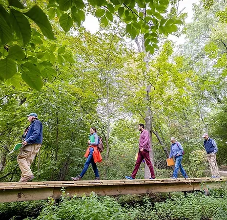 People walking across a boardwalk over a wetland Roslindale Wetlands Urban Wild Boston Parks Crowley Cottrell LLC Landscape Architecture