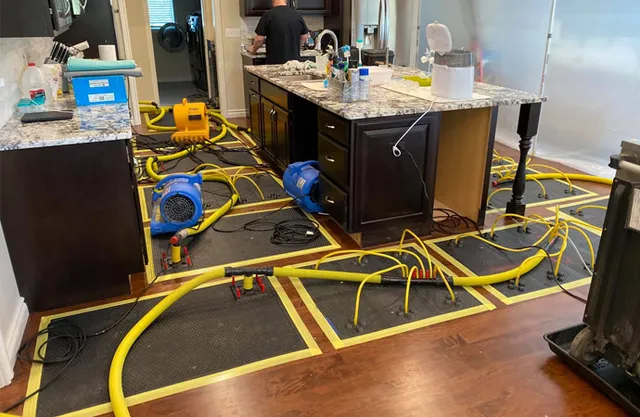 Steamatic researched project photo