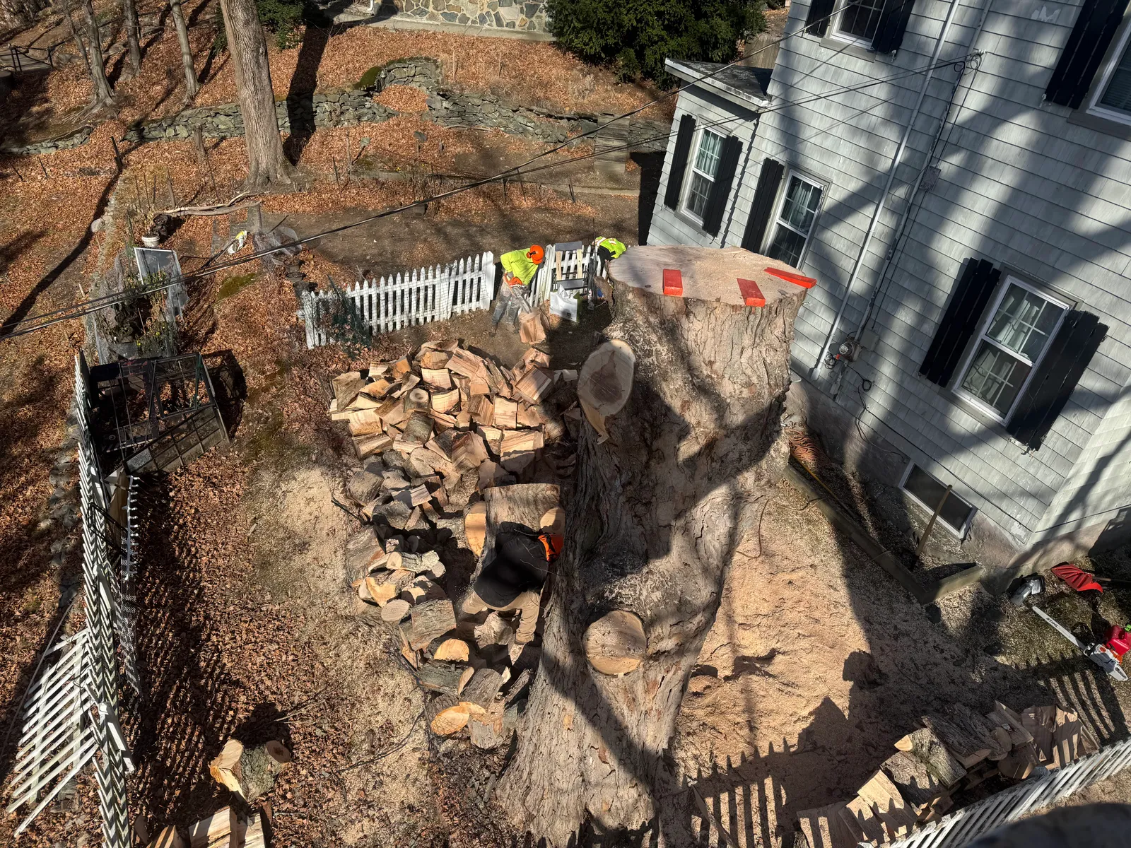 work photo from Google listing