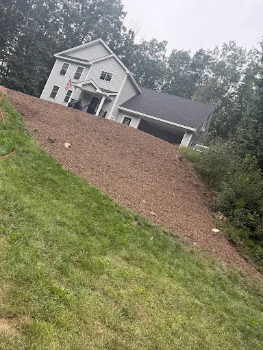 Review photo by A1K9 Academy