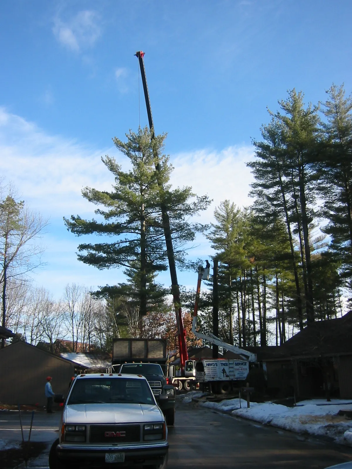 work photo from hirkostreeservice.com