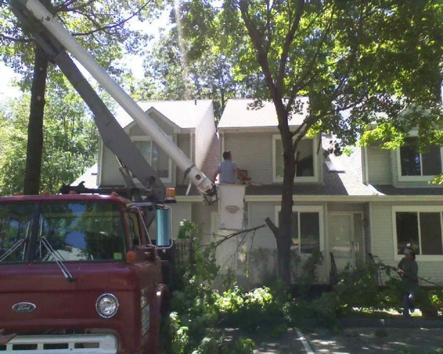 BOB'S TREE SERVICE work photo