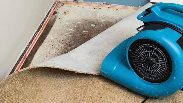 DryBoston Restoration