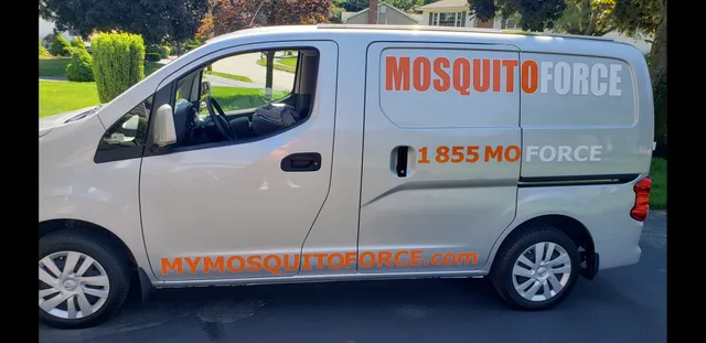 MosquitoForce work photo