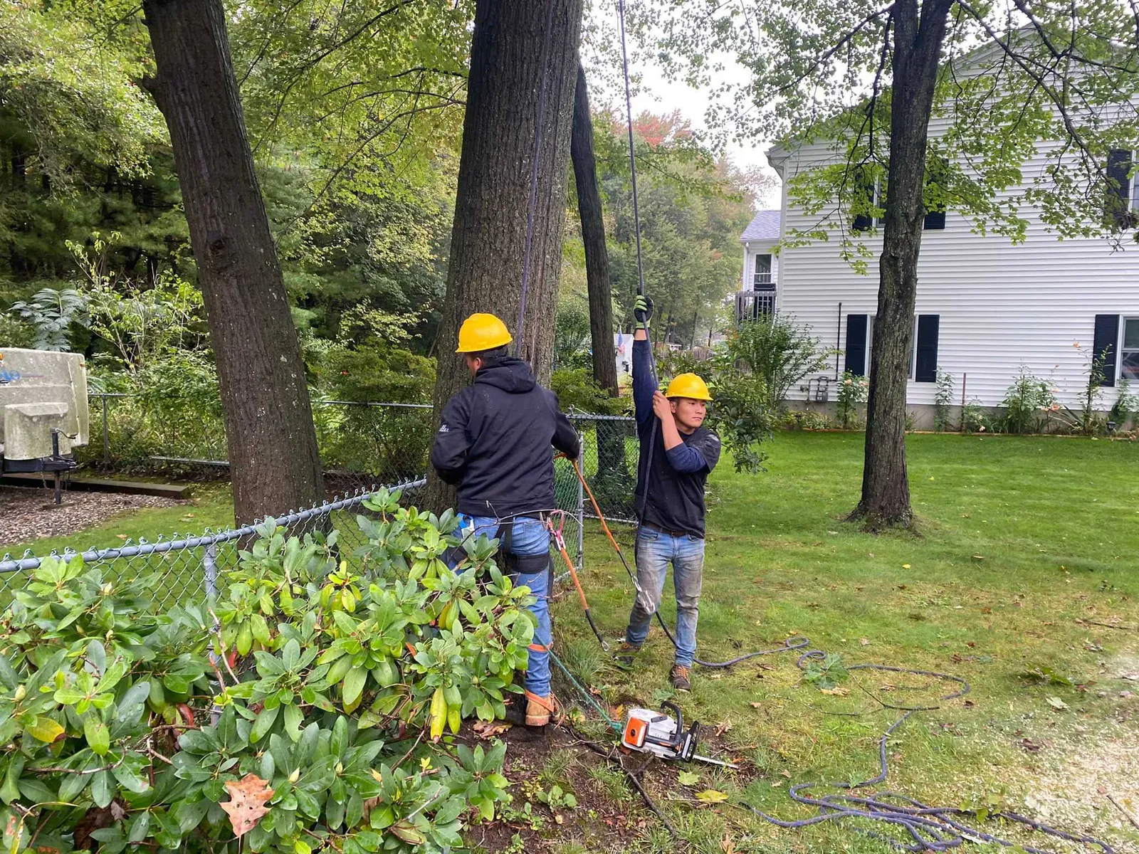 work photo from visionlandsandtreeservicesllc.com