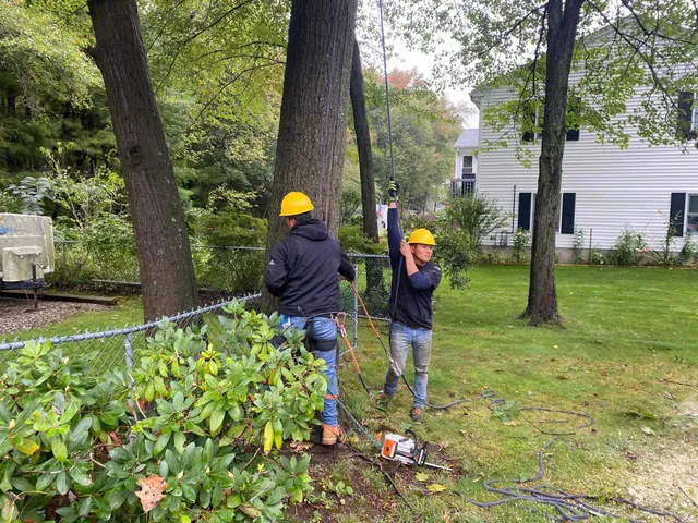 work photo from visionlandsandtreeservicesllc.com