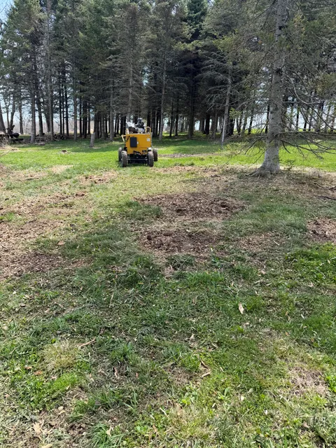 Tri-Son Stump Grinding researched project photo