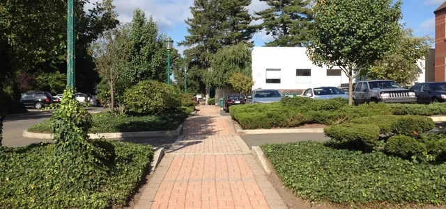 Commercial landscaping and snow management