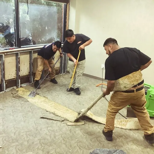 SERVPRO of Bloomfield/Enfield work photo